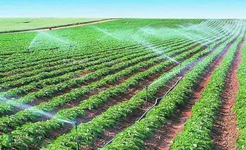 插逼视农田高 效节水灌溉